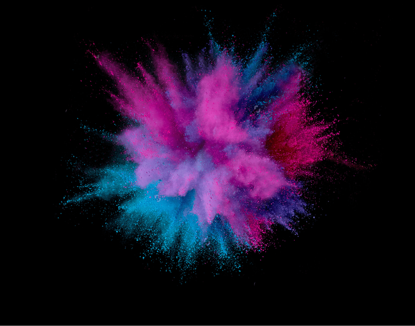 感動と発見の連続