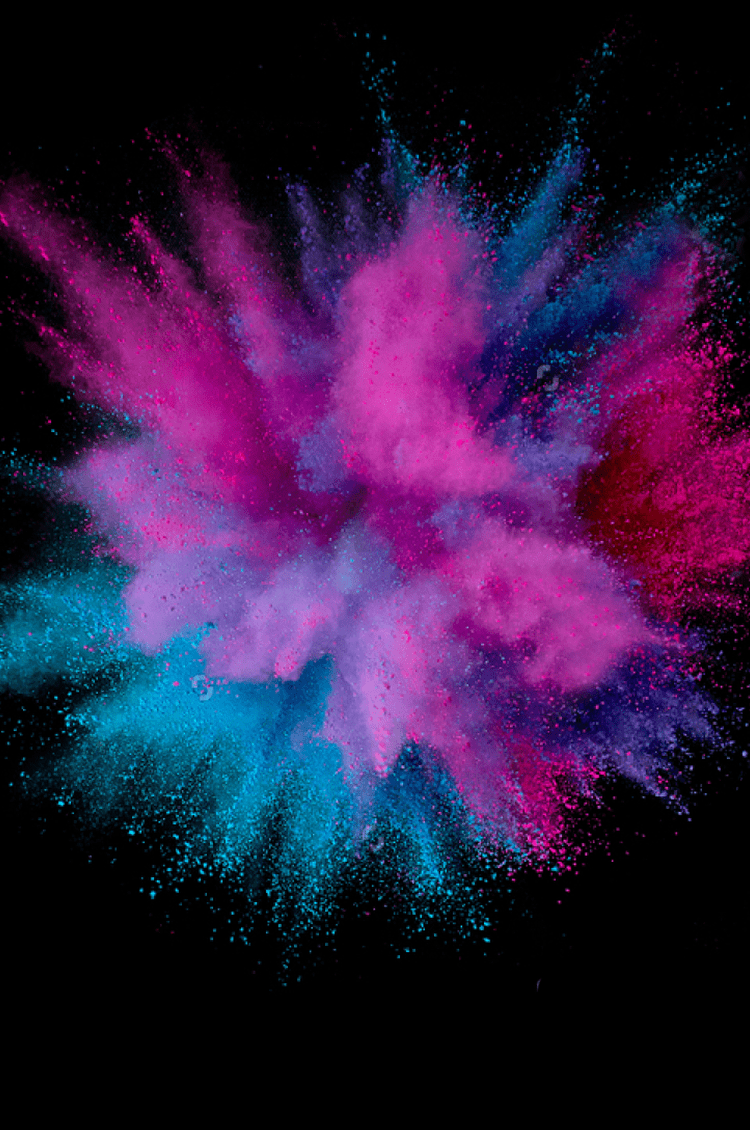 感動と発見の連続